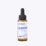 GLAUCOM